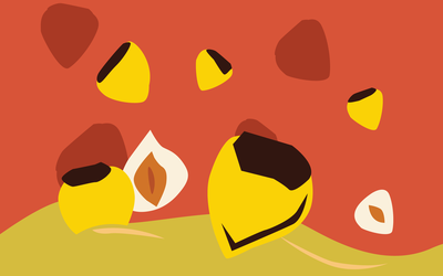 Hands off my Nuts! ShotPods